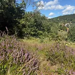 Sommerberg Schleusingen