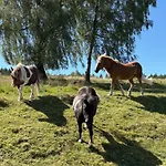 Διαμέρισμα Sommerberg *