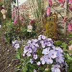 Sommerberg Apartman Schleusingen