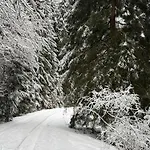 Apartman Sommerberg *