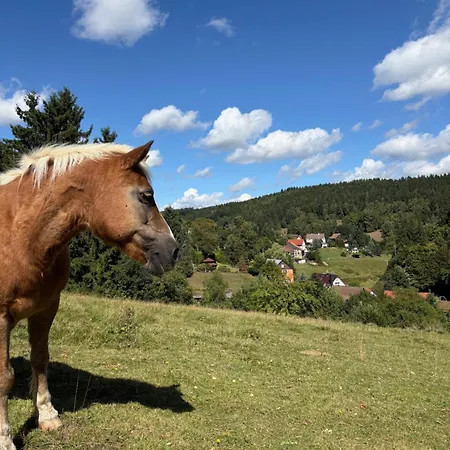 Lejlighed Sommerberg *