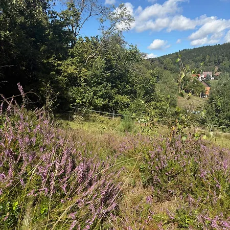 Sommerberg Schleusingen