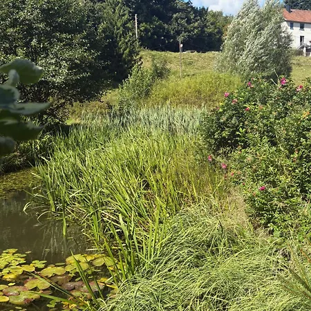 Sommerberg Lejlighed Schleusingen