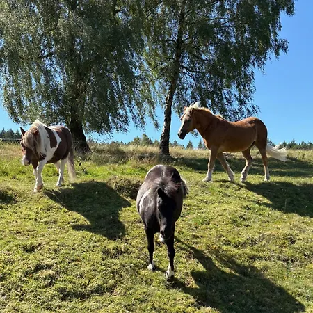 Lejlighed Sommerberg *