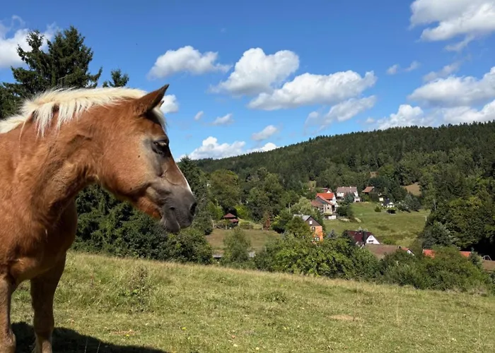 Apartment Sommerberg *