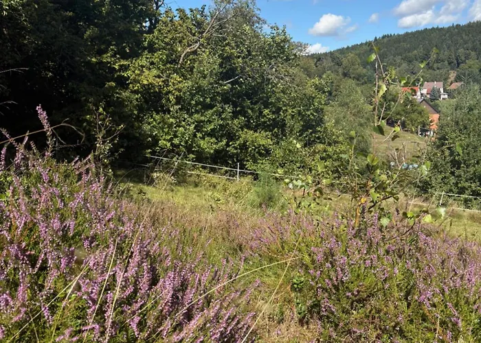 Sommerberg Schleusingen