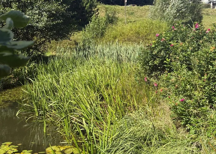 Sommerberg Apartment Schleusingen