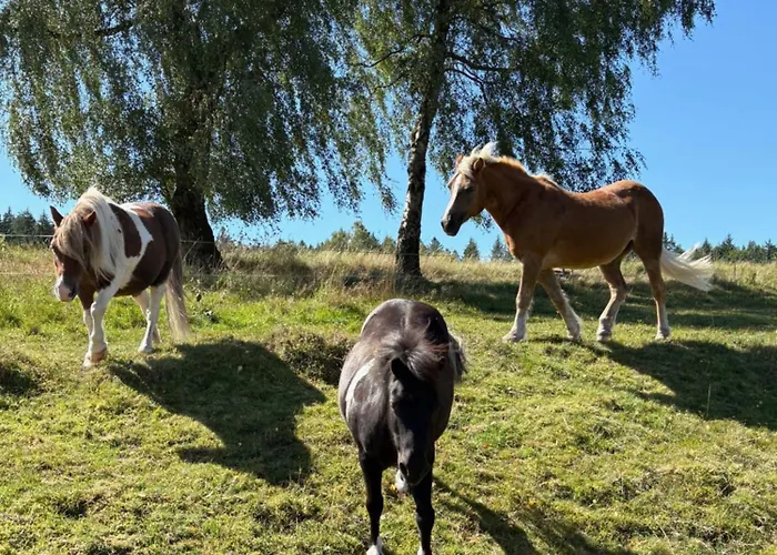 Apartment Sommerberg *