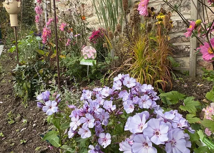 Sommerberg Apartment Schleusingen