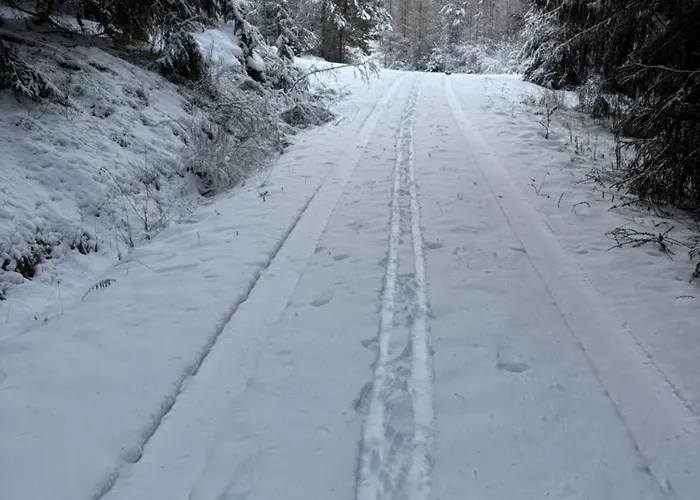Apartment Sommerberg Schleusingen
