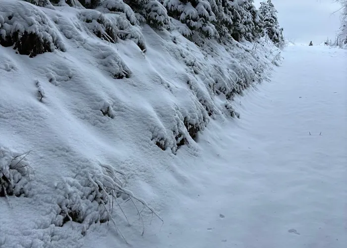 Sommerberg Apartment