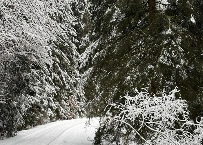 Apartment Sommerberg *